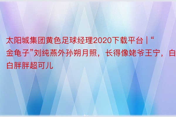 太阳城集团黄色足球经理2020下载平台 | “金龟子”刘纯燕外孙朔月照，长得像姥爷王宁，白白胖胖超可儿