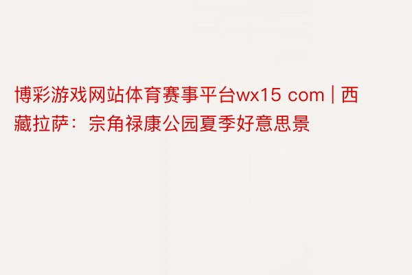 博彩游戏网站体育赛事平台wx15 com | 西藏拉萨：宗角禄康公园夏季好意思景