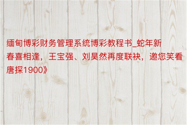 缅甸博彩财务管理系统博彩教程书_蛇年新春喜相逢，王宝强、刘昊然再度联袂，邀您笑看《唐探1900》